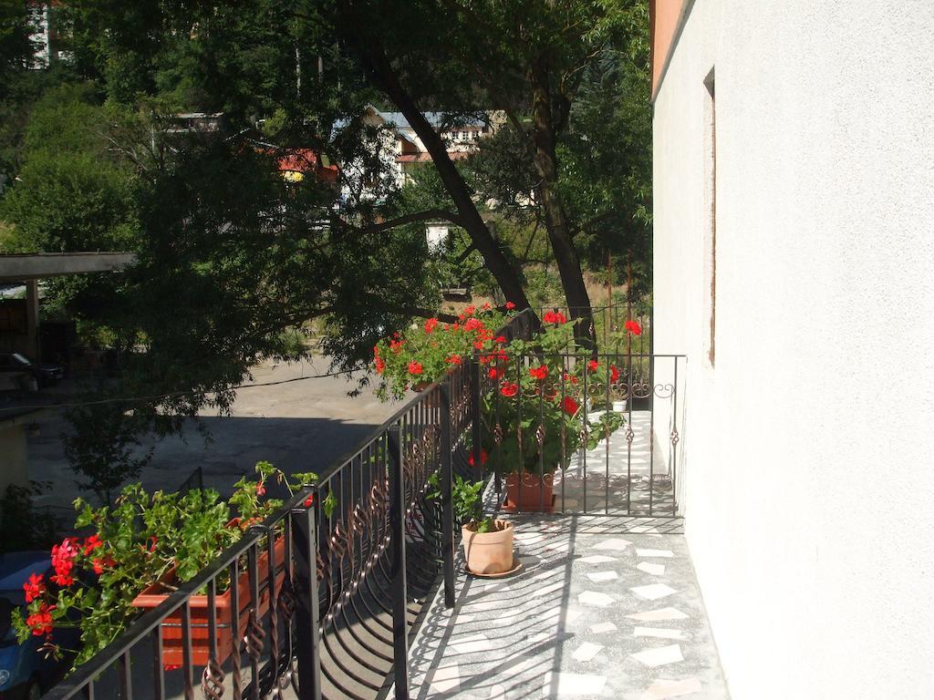 Vila Ana-Maria Синая Стая снимка