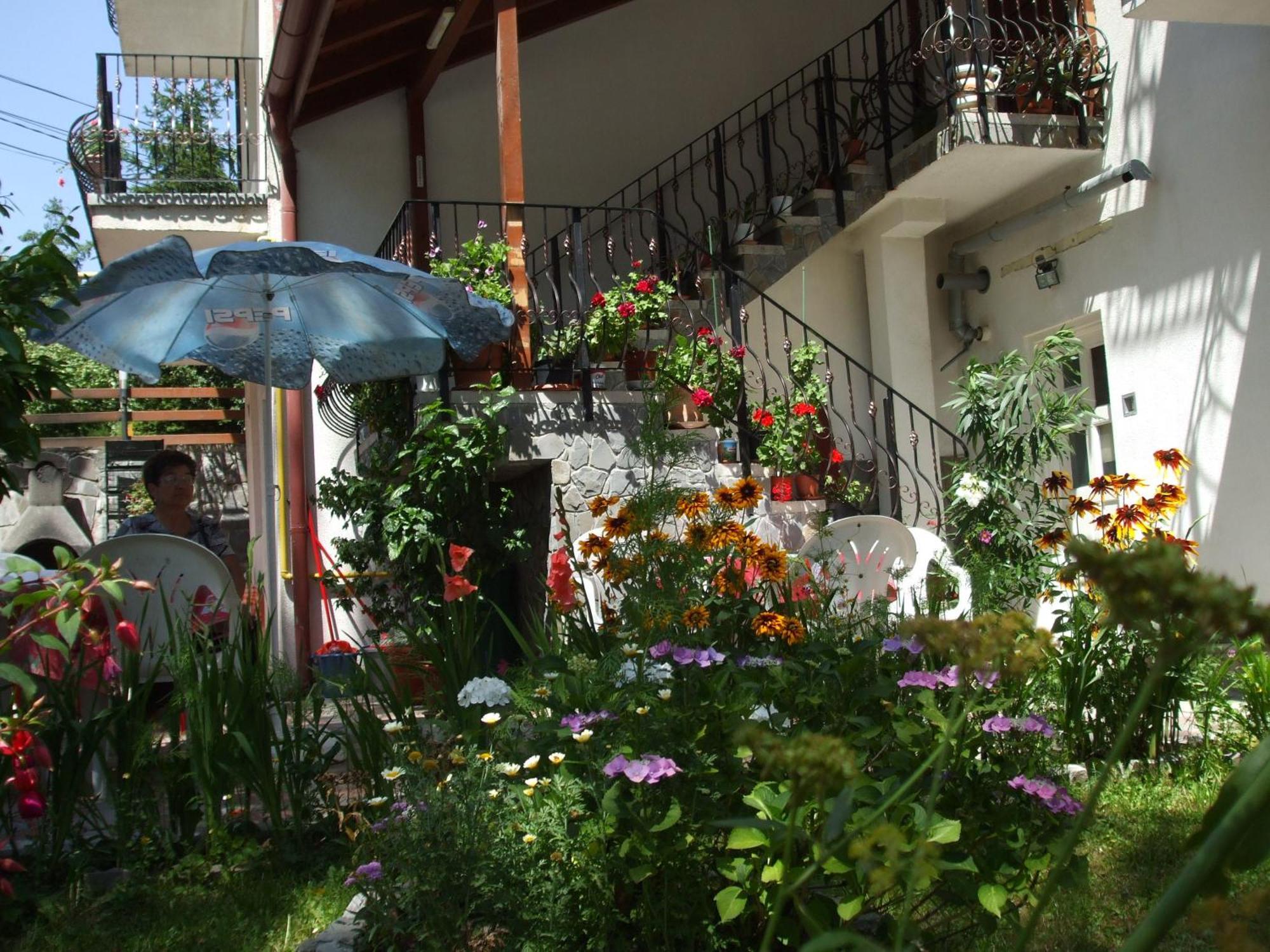 Vila Ana-Maria Синая Екстериор снимка