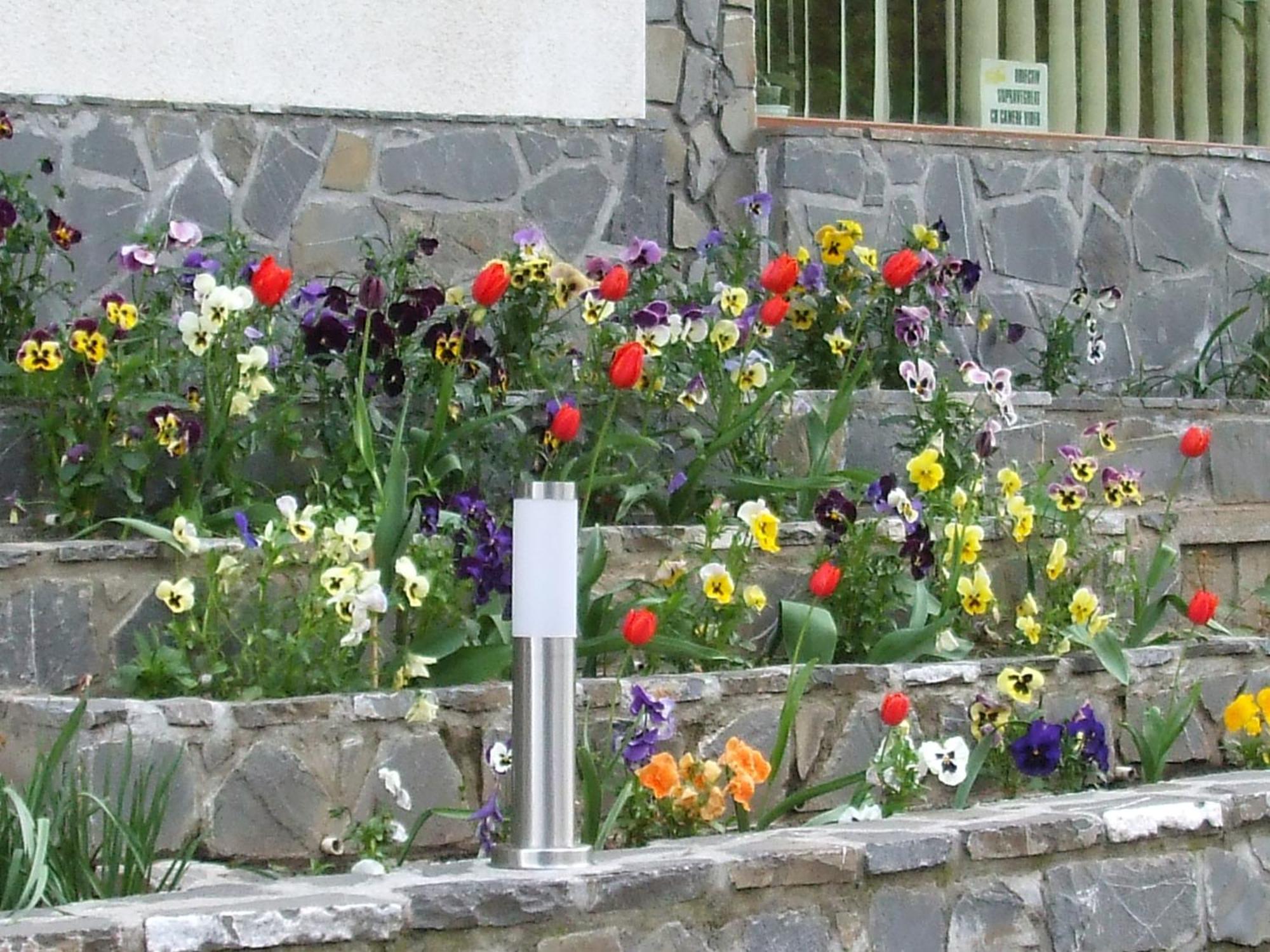 Vila Ana-Maria Синая Екстериор снимка