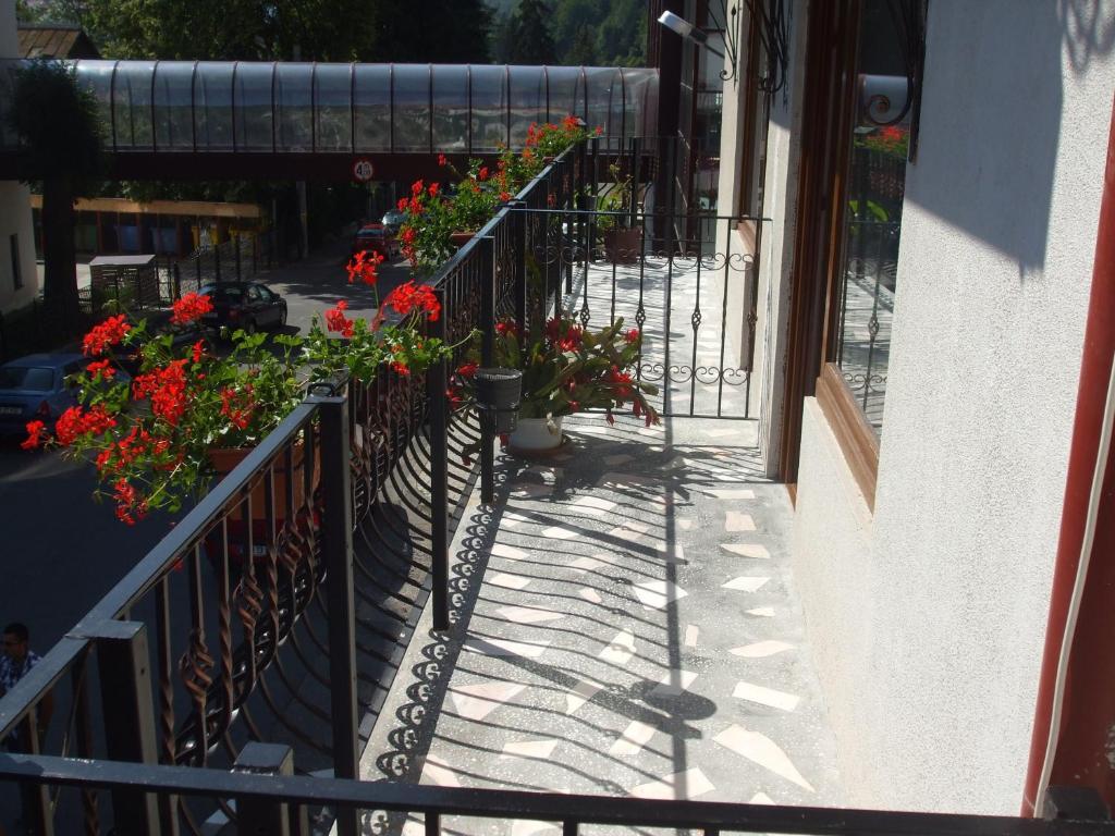 Vila Ana-Maria Синая Екстериор снимка