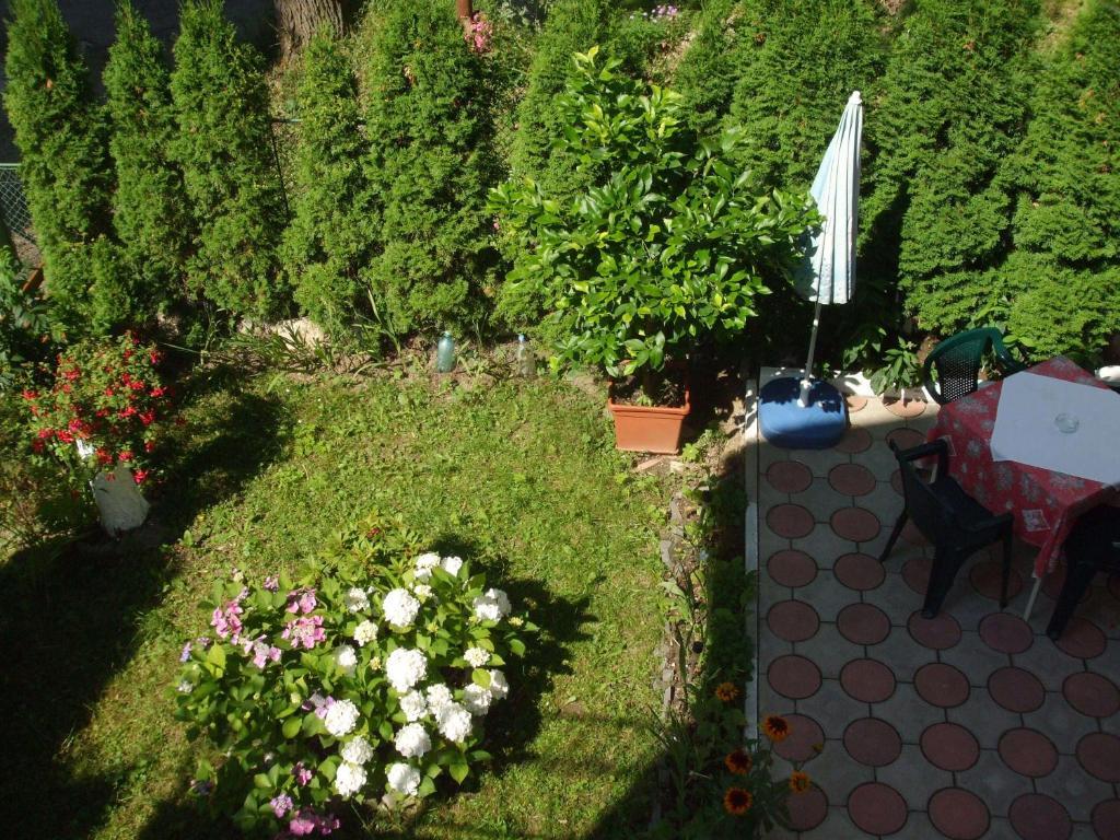 Vila Ana-Maria Синая Екстериор снимка