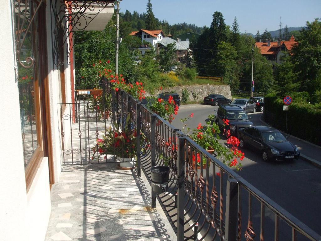 Vila Ana-Maria Синая Екстериор снимка
